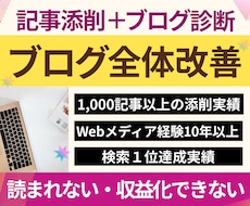記事添削＋ブログ診断⭐︎まとめて全体改善します 「文章×アフィリエイト×SEO×収益化」記事添削＋ブログ診断