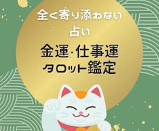 全く寄り添わないスタイルで金運・仕事運を占います イメージ1
