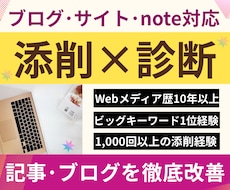 記事添削＋ブログ診断⭐︎記事もブログも改善します 文章×アフィリエイト×SEO×収益化の問題点を徹底改善します