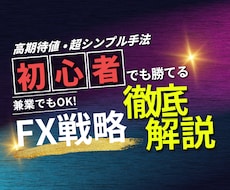 初心者からプロ級になるための秘密の手法を教えます イメージ1
