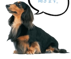 あなたのお悩み聞きます イメージ1