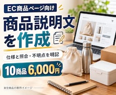 商品情報を照合してEC説明文10点を作成します イメージ1