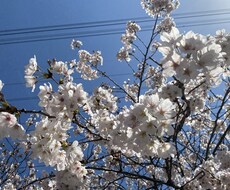 愚痴や相談ききます イメージ1