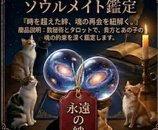 前世からの絆あなたとペットの魂の約束を紐解きます 魂の約束あなたとペットの前世からの絆を優しく紐解きます