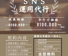 10件限定価格！撮影から投稿管理まで全て承ります イメージ1