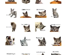 LINEスタンプ作成します イメージ1