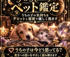 ペット鑑定　ペットの気持ちを読み解きます イメージ1