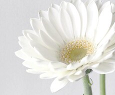 信じて✨話して下さいね…秘密は厳守します イメージ1
