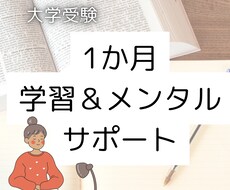 1か月間学習＆メンタルサポートをします イメージ1