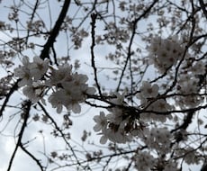 愚痴、悩み、なんでも聞きます イメージ1