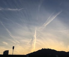 タロットで視ます ハッキリとも、優しくとも両方対応でお伝え致します⭐︎