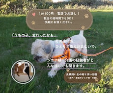 愛犬愛猫を看取った経験者がシニア期の不安聴きます イメージ1
