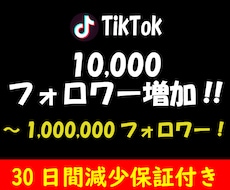 TikTokフォロワー1万人増加するまで拡散します 多国籍且つ質の高いフォロワーで30日間減少保証をお約束します