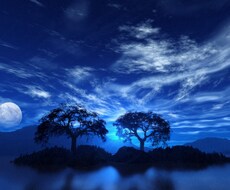 あなたの性質占います 自分の事が気になる方へ。見つめ直す機会になればと思います