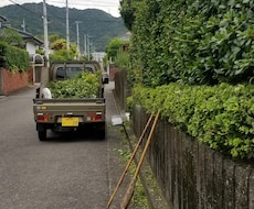 高知県内　年中無休にて空き家管理　やります イメージ1