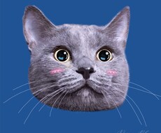 あなたの愛するペット様を、さらに可愛くいたします イメージ1
