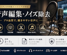 サウンドエンジニアが音声編集・ノイズ除去します イメージ1