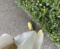 心理カウンセラーが心に寄り添う相談お受けします