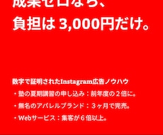 成果報酬でInstagram広告運用します 達成した成果で費用が変わる広告運用