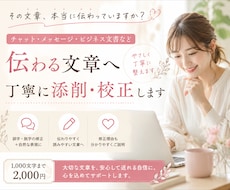 ビジネスメール・応募文を自然で読みやすく添削します イメージ1