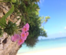 ☆フレンドサービス☆何でもお付き合いします！ε=ε=┏(・＿・)┛ イメージ1