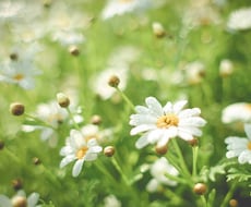 お話を聞いて、あなたに寄りそいます イメージ1