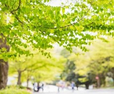 リピーター様限定。お悩みを解決支援します イメージ1