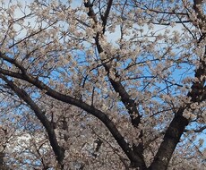 愚痴雑談聞きます イメージ1