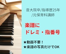 動画不要★ピアノ楽譜にドレミと指番号を書き込みます 音大院卒★書き込むだけではなく譜読みサポートします