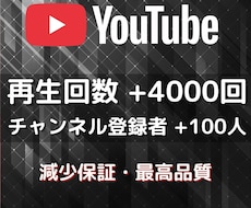 YouTubeの再生回数と登録者を増やします イメージ1