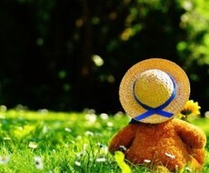 日頃のココロのモヤモヤどんな事でも聞きます イメージ1