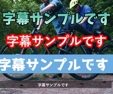 1500円で5つの動画に字幕を入れます イメージ1