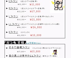 簡単なチラシ作ります イメージ1