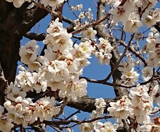 あなたの人生を小説にします イメージ1