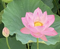 話しにくい事や相談など伺います イメージ1
