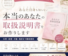 あなたも知らない本当のあなたの取扱説明書を作ります イメージ1