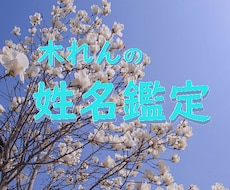 赤ちゃんの姓名鑑定☘️どんな子に育つのか予想します イメージ1