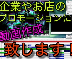 企業やお店のプロモーションビデオ作成致します イメージ1