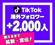 TikTokの海外フォロワーを2000人増やします イメージ1