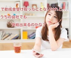 中小企業や個人事業主のための助成金のアドバイスます 中小企業や個人事業主のための助成金のアドバイス。