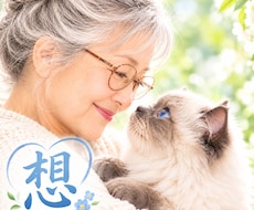 ペットロスの悲しみに寄り添い、お話をお聴きします イメージ1