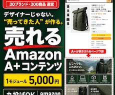 Amazon専門｜現役セラーが売れるA+作ります 30ブランド・300商品｜実践者が構成から設計するA+