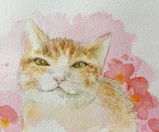透明水彩でペットや動物の絵を手描きします イメージ1