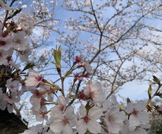 あなたの心の負担少しでも軽くします イメージ1