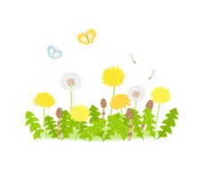 女性限定。生きづらさやモヤモヤ聞きます イメージ1