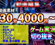 元動画30分4千円から動画編集いたします イメージ1