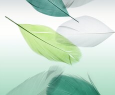別れたいのに別れられない方、背中押します 辛い恋愛中で前にも後にも進めない方にアドバイス致します。