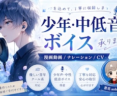 中性的な少年～青年声で収録します イメージ1