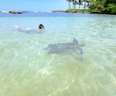 楽しいハワイ旅行を計画したい方☆お手伝いします イメージ1
