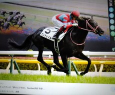 日曜日のメインレースの買い目予想を提供します イメージ1